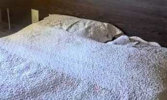 Imagem 7: Apartamento de 2 Dormitórios com Varanda Gourmet em Guarulhos