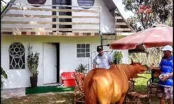 Imagem 6: Sítio com Piscina e Tirolesa em Nazaré Paulista