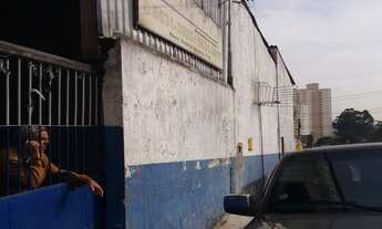 Imagem 5: GALPÃO em São Paulo - SP, Jardim Marajoara