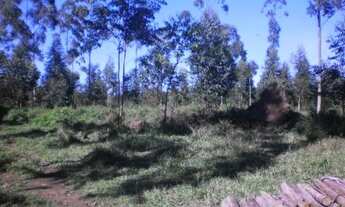 Imagem 7: FAZENDA RURAL em São Miguel Arcanjo - SP, Centro