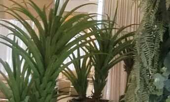 Imagem: APARTAMENTO RESIDENCIAL em ITAPEMA - SC