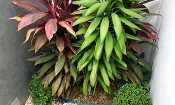 Imagem 6: CASA RESIDENCIAL em SOROCABA - SP, HORTO FLORESTAL