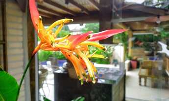 Imagem 5: CASA RESIDENCIAL em SAO SEBASTIAO - SP, PRAIA DE CAMBURI