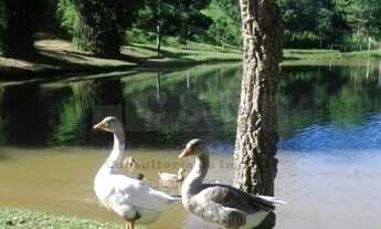 Imagem 5: Terreno 2.850m² no Km.42 da Rodovia Castelo Branco(Rancho da Pamonha