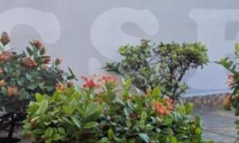 Imagem 3: Prédio em Condomínio à Venda na Vila Yara, Osasco-SP com 8 Vagas de Garagem!