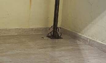 Imagem 3: APARTAMENTO RESIDENCIAL em TABOÃO DA SERRA - SP, PARQUE PINHEIROS