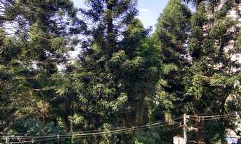 Imagem 6: APARTAMENTO RESIDENCIAL em TABOÃO DA SERRA - SP, JARDIM MARIA ROSA