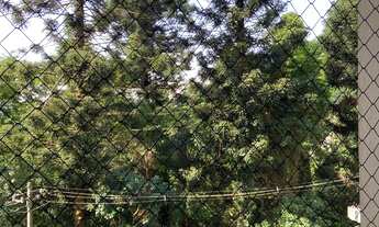 Imagem 5: APARTAMENTO RESIDENCIAL em TABOÃO DA SERRA - SP, JARDIM MARIA ROSA