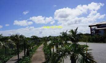 Imagem 5: Terreno a venda Condomínio Praia das Tartarugas em Praia do Forte