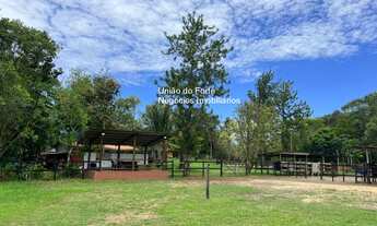 Imagem 2: OPORTUNIDADE! FAZENDA DE 19 HECTARES VISTA PARA O MAR, COM 2 CASAS, 1 GALPÃO E BAIA DE CAV