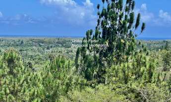 Imagem: OPORTUNIDADE! FAZENDA DE 19 HECTARES VISTA