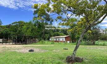 Imagem 3: OPORTUNIDADE! FAZENDA DE 19 HECTARES VISTA PARA O MAR, COM 2 CASAS, 1 GALPÃO E BAIA DE CAV