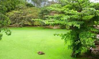 Imagem 4: CASA RESIDENCIAL À VENDA, FEITICEIRA, ILHABELA