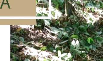 Imagem: 778M² de Área Total