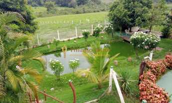 Imagem: Sítio á venda com 6 alqueires, 3 casas