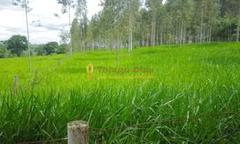 Imagem 4: Sítio á venda com 6 alqueires, 3 casas, piscina, varanda com churrasqueira, tanque de peix