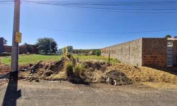 Imagem 3: Terreno á venda com 300 m² em ótima localização na cidade de Parisi/SP