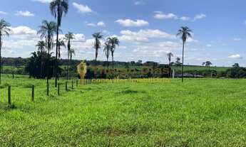 Imagem 4: Chácara á venda com escritura individualizada com 20.000 m² próximo da cidade de Parisi/SP