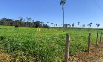 Imagem 3: Chácara á venda com escritura individualizada com 20.000 m² próximo da cidade de Parisi/SP