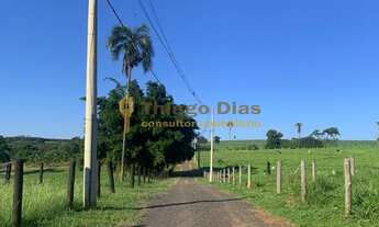 Imagem 5: Chácara á venda com escritura individualizada com 20.000 m² próximo da cidade de Parisi/SP