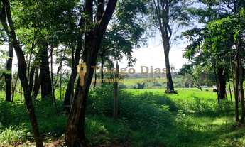 Imagem 2: Chácara á venda com escritura individualizada com 20.000 m² próximo da cidade de Parisi/SP