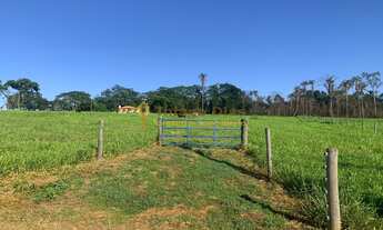 Imagem 6: Chácara á venda com escritura individualizada com 20.000 m² próximo da cidade de Parisi/SP