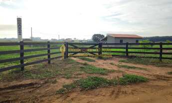 Imagem 5: Sítio á venda com 10,4229 hectares na região do bairro de Simonsen cidade de Votuporanga/S