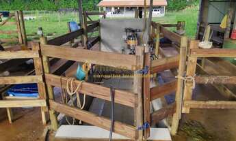 Imagem 7: Sítio á venda com 10,4229 hectares na região do bairro de Simonsen cidade de Votuporanga/S