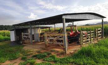 Imagem 6: Sítio á venda com 10,4229 hectares na região do bairro de Simonsen cidade de Votuporanga/S