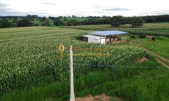 Imagem 2: Sítio á venda com 10,4229 hectares na região do bairro de Simonsen cidade de Votuporanga/S