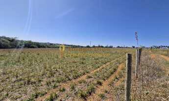 Imagem 3: Chácara á venda com 20.000 m² toda documentada e com escritura individual no município de