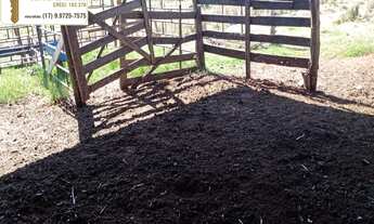 Imagem 6: Chácara á venda com 1,19 alqueires na cidade de Álvares Florence/SP