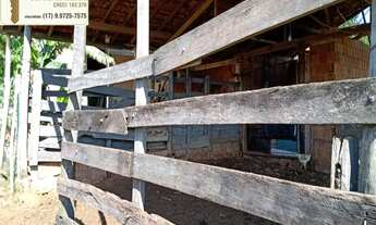 Imagem 5: Chácara á venda com 1,19 alqueires na cidade de Álvares Florence/SP