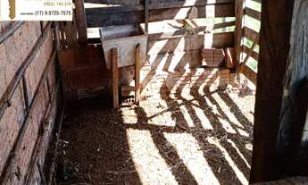 Imagem 4: Chácara á venda com 1,19 alqueires na cidade de Álvares Florence/SP