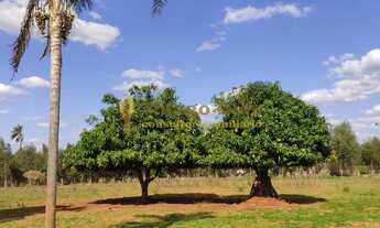 Imagem 6: Chácara á venda com 2,5 alqueires na cidade de Tanabi/SP