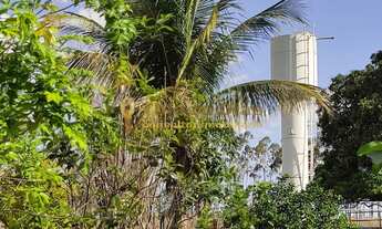 Imagem 4: Chácara á venda com 2,5 alqueires na cidade de Tanabi/SP