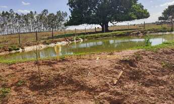 Imagem 7: Chácara á venda com 2,5 alqueires na cidade de Tanabi/SP