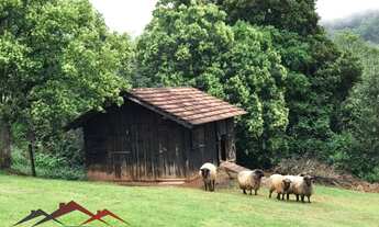 Imagem 5: SITIO RESIDENCIAL em NOVA PETRÓPOLIS - RS, Linha Imperial