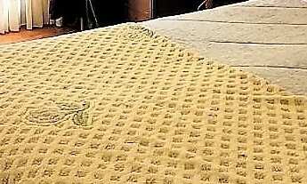 Imagem 5: Casa de madeira 2 dormitórios sendo 01 suíte, Linha Imperial, terreno esquina