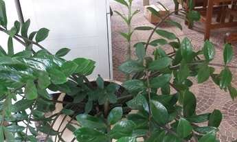 Imagem 2: Casa linda com edicula na na zona sul, proximo shopping Plaza, lojas havan . Terreno 297