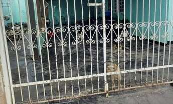 Imagem: CASA PARA VENDA JARDIM YOLANDA