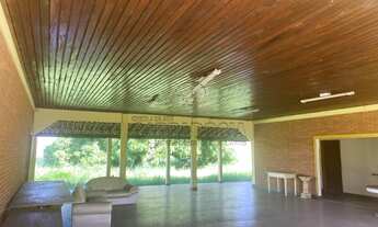 Imagem 4: Imperdível! Sítio à venda em Auriflama-SP na Area Rural: 3 quartos, 1 suíte, 3 salas, 3 ba