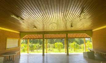 Imagem 5: Imperdível! Sítio à venda em Auriflama-SP na Area Rural: 3 quartos, 1 suíte, 3 salas, 3 ba