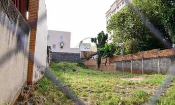 Imagem 2: Terreno Comercial à Venda em São José do Rio Preto-SP, Bairro Boa Vista, 441m² de Área