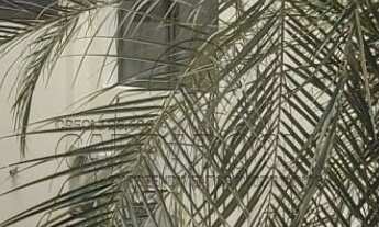 Imagem: Excelente oportunidade de investimento