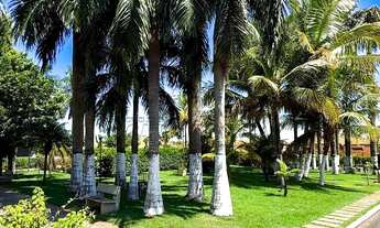 Imagem 7: Imperdível Oportunidade: Casa em Condomínio à Venda em São José do Rio Preto-SP, Jardim Co