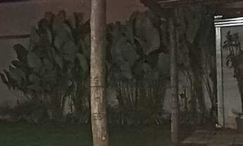 Imagem 2: Casa à venda em Cedral-SP, Recanto Antônio Silva Filho: 2 quartos, 1 sala, 2 banheiros, 2