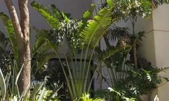 Imagem 2: Sala de locação ampla e moderna no bairro Cidade Nova em São José do Rio Preto-SP!