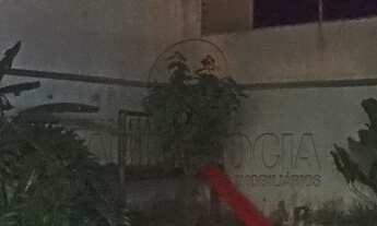 Imagem 4: Casa à venda em Cedral-SP, Recanto Antônio Silva Filho: 2 quartos, 1 sala, 2 banheiros, 2