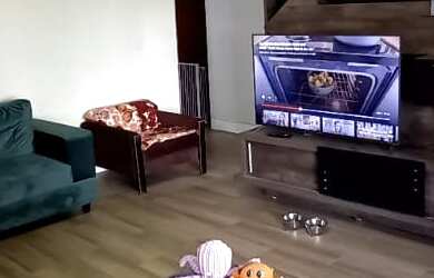 Imagem 2: Casa na Colônia Agrícola Sucupira - 3 suítes